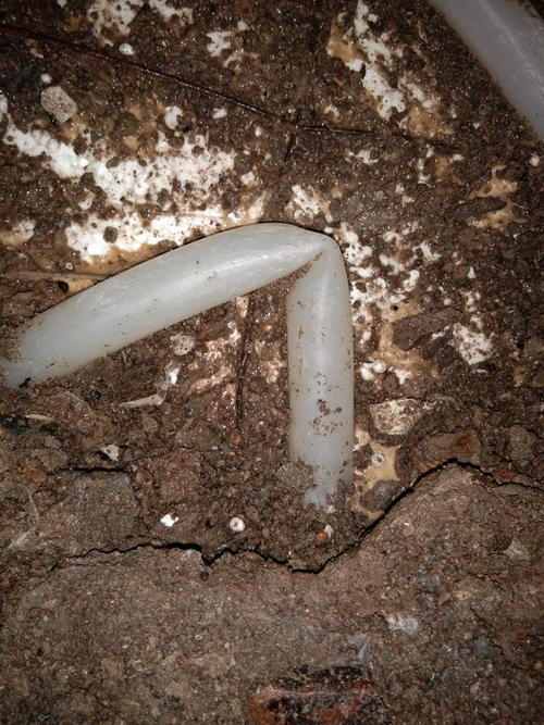 白朗堵点精准查找